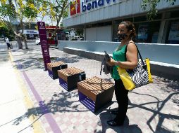 NO SABEN. Tapatías dicen desconocer la función de los puntos púrpura. FATILANO