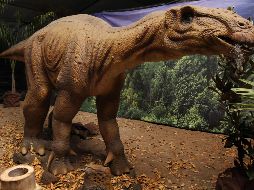 Los bomberos tuvieron que cortar una de las patas de la escultura, donde se había atascado el cuerpo con la cabeza hacia abajo, para poder sacarlo. EL INFORMADOR / ARCHIVO