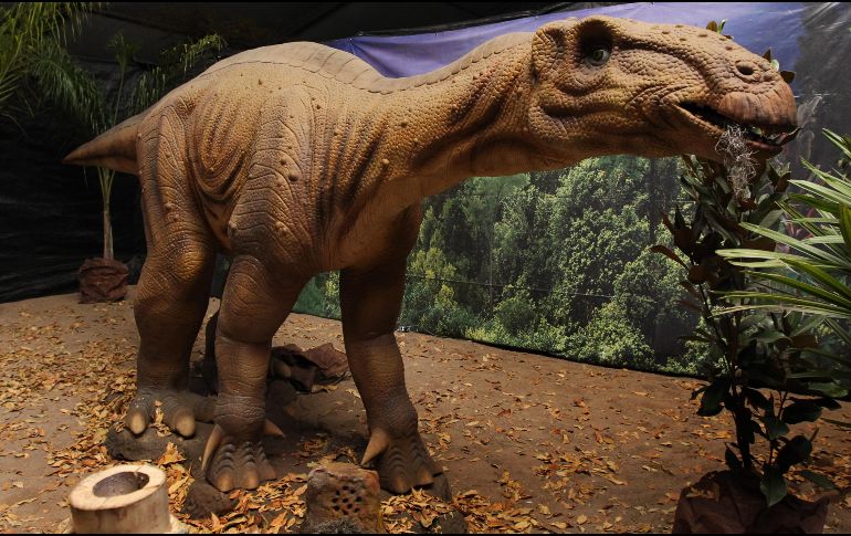 Los bomberos tuvieron que cortar una de las patas de la escultura, donde se había atascado el cuerpo con la cabeza hacia abajo, para poder sacarlo. EL INFORMADOR / ARCHIVO