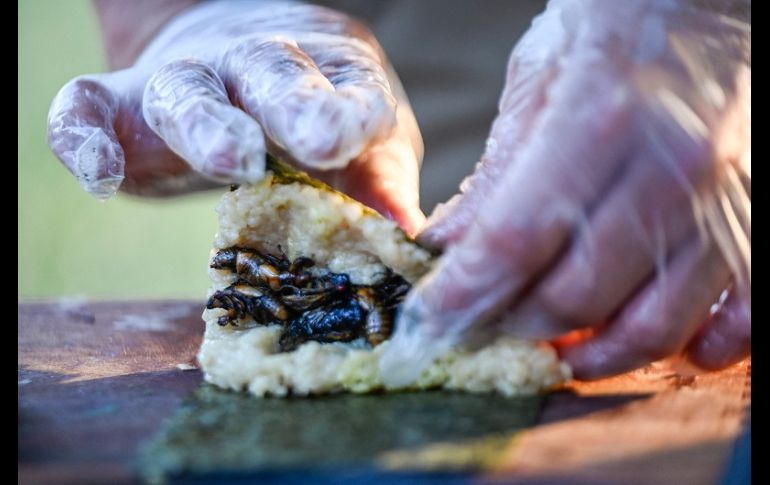 El chef estadounidense nacido en Hong Kong mostró cómo recolectar, cocinar y preparar cigarras como una forma de hablar sobre métodos alternativos de cultivo y alimentación. AFP/A. Caballero