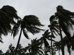 Las medidas se concentran en los municipios de Tomatlán, Cihuatlán, Autlán, Mascota, Puerto Vallarta y Cabo Corrientes. XINHUA