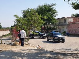 Aunque aún no se determina la especie del animal, se cree que puede ser un león por la cantidad y tipo de pelaje que presenta. EL INFORMADOR