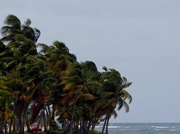 La Conagua pronosticó a mediados de mayo la formación de entre 14 y 20 sistemas con nombre en el océano Pacífico, mientras que para el Atlántico previó de 15 a 19 fenómenos. AFP / ARCHIVO