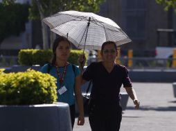 En algunas regiones de Jalisco se prevén temperaturas máximas que irán de los 40 a los 45 grados. EL INFORMADOR / ARCHIVO