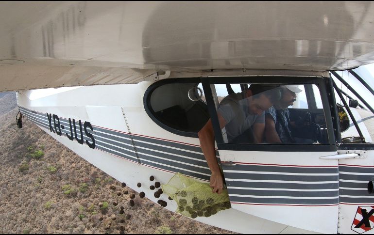Integrantes de Earth Army participan en su primer lanzamiento de bombas de semillas sobre el Cerro Viejo, en Jalisco. EFE F. Guasco