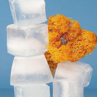 Hielo en el rostro, el mejor truco para la piel