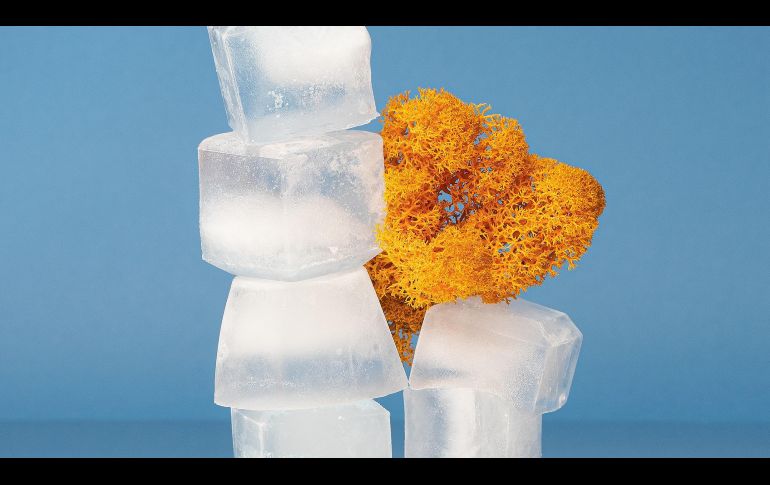 UNSPLASH/ VICTORIA WENDISH