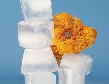 UNSPLASH/ VICTORIA WENDISH