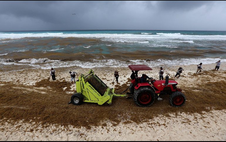 Cancún es una de las zonas afectadas por el arribo de la macroalga. EFE/A. Cupul