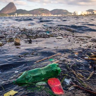 Día Mundial del Medio Ambiente: Los 7 ''puntos de retorno'' para salvar el planeta