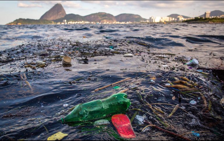La introducción de manera generalizada de los impactos ambientales en el currículo escolar ha tenido un impacto visible en los millones de jóvenes que han protestado en todo el mundo por el planeta que van a heredar. EFE / A. Coehlo
