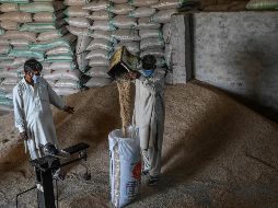 A LA BAJA. A pesar de contar con más de 350 mil muertes, la India ha bajado en infecciones por COVID-19. AFP