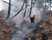 El incendio detectado a la altura de Colinas de la Primavera fue rápidamente sofocado por brigadistas. ESPECIAL