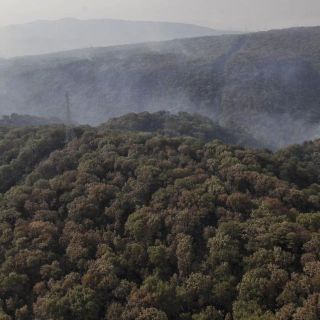 Buscan impedir la venta de seis terrenos ofrecidos por el Instituto para Devolver al Pueblo lo Robado