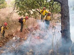 ACCIÓN. Luego de que el responsable de prenderle fuego al bosque fue trasladado al Ministerio Público, las brigadas forestales se enfocaron en controlar el incendio, lo cual se logró en poco tiempo debido a que lo detectaron con anticipación. ESPECIAL