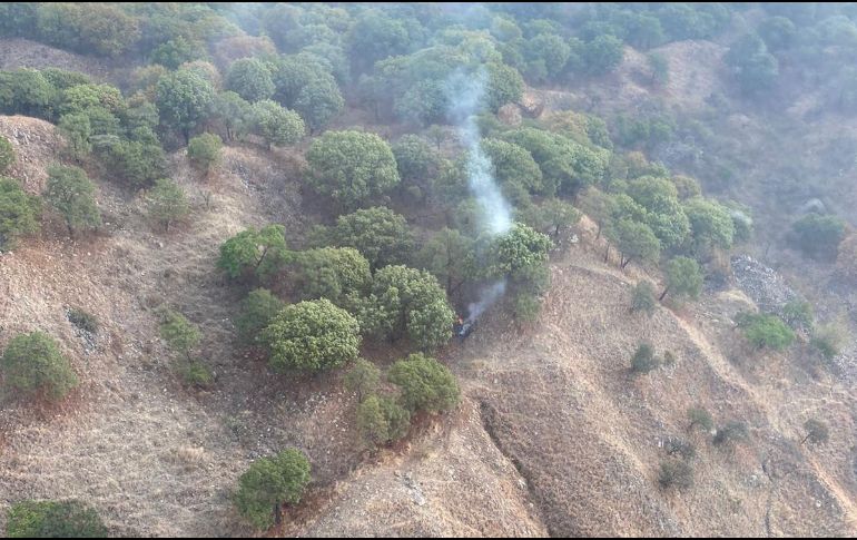 Un hombre fue detenido ayer en la zona del Colli, sorprendido en flagrancia al incendiar ese punto dentro del Bosque La Primavera. ESPECIAL/ARCHIVO
