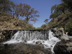 No se podrá cambiar su uso de suelo que establece la ley, por lo cual se busca que dicho predio. EL INFORMADOR / ARCHIVO