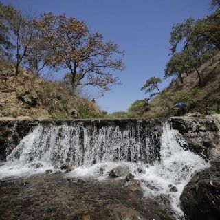 Gobierno de Jalisco entregará solicitud a Indep para conservar predio de La Primavera