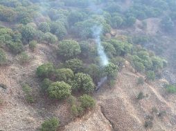 Tomará un año en ser reparado el daño al bosque causado por el detenido. ESPECIAL