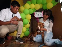 Spay ya se encuentra en buen estado. SUN