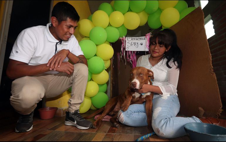 Spay ya se encuentra en buen estado. SUN