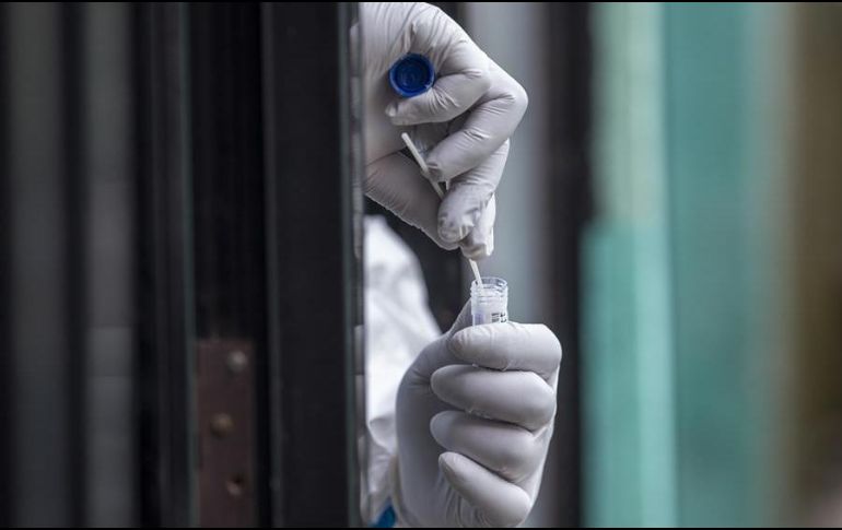 Las muestras de sangre participantes se encontraban fuera de los principales focos de Seattle y Nueva York. EFE/ARCHIVO