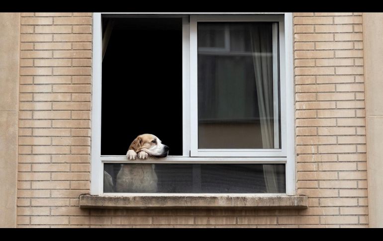 Policías cubanos son cuestionados por su actuar frente a las súplicas de un estudiante de medicina. EFE/B. Aliño