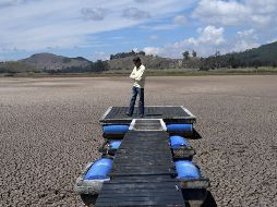 El calentamiento global y sus impactos en la salud