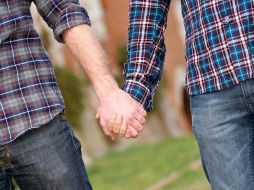 El Infonavit ha otorgando 21 mil 226 créditos, en beneficio de 10 mil 613 parejas, lo que generó una derrama económica superior a los siete mil 332 millones de pesos. NTX / ARCHIVO