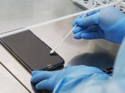El hisopo se pasa sobre la pantalla del celular en lugar de la nariz y luego se analiza como con una PCR normal para detectar si hay rastros del ARN del virus. EFE / E. González