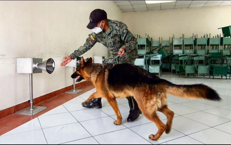 CON VACUNAS Y CANINOS. Militares adiestran a un perro para que reconozca a personas contagiadas con el coronavirus. AFP