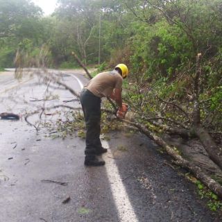 Huracán "Enrique" ocasiona lluvias torrenciales en Jalisco; actualizan alerta