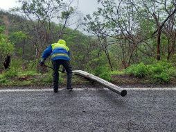 El Gobierno de Jalisco dijo que tras el paso de 
