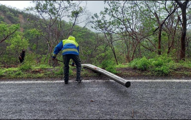 El Gobierno de Jalisco dijo que tras el paso de 