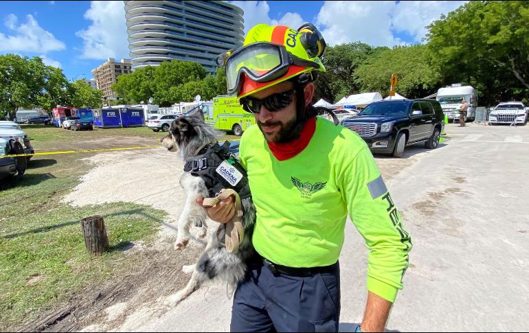 Los primeros en llegar, el viernes pasado, fueron 7 mexicanos que forman parte de ONG Cadena, y que van acompañados de una perrita raza Pomsky que apoya en los rescates. AFP / G. Marletta