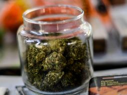 El comisionado Adrián Alcalá dice que la Cofepris no cumplió con su obligación de dar acceso a la información que obra en sus archivos. AFP/ARCHIVO