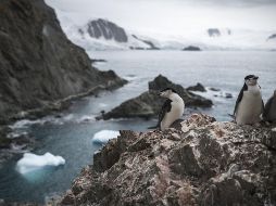 Las elevadas temperaturas resultarán perjudiciales. EFE/ ARCHIVO