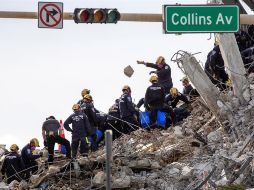 El avistamiento de un gato el sábado dio esperanzas de que aún podrían rescatarse a algunas mascotas. EFE/C. Herrera
