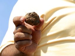 El equipo usó los diamantes para conocer las condiciones del interior del manto terrestre. EL INFORMADOR/ARCHIVO