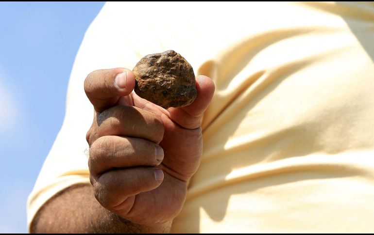 El equipo usó los diamantes para conocer las condiciones del interior del manto terrestre. EL INFORMADOR/ARCHIVO