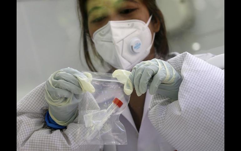 La organización Miss México y las participantes no se han manifestado al respecto de este tema. EFE/N. Sangnak