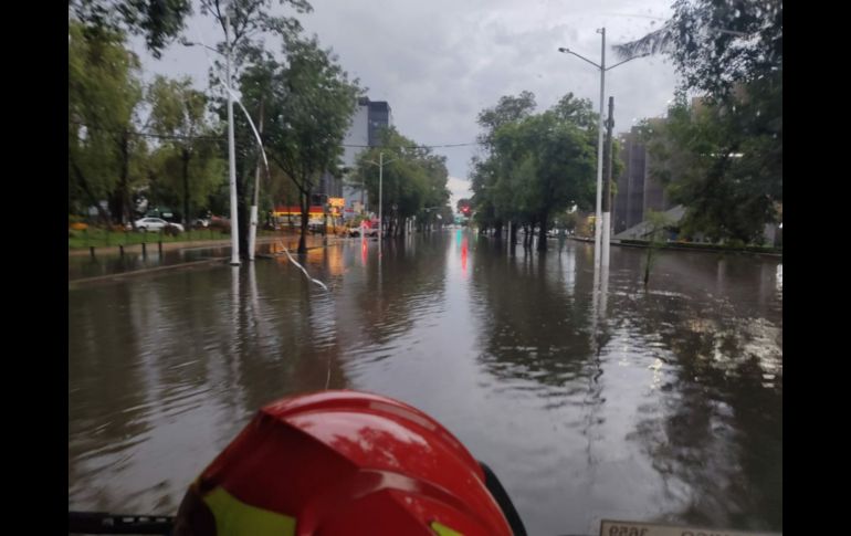Diversas corporaciones de bomberos atendieron los reportes de este sábado. ESPECIAL