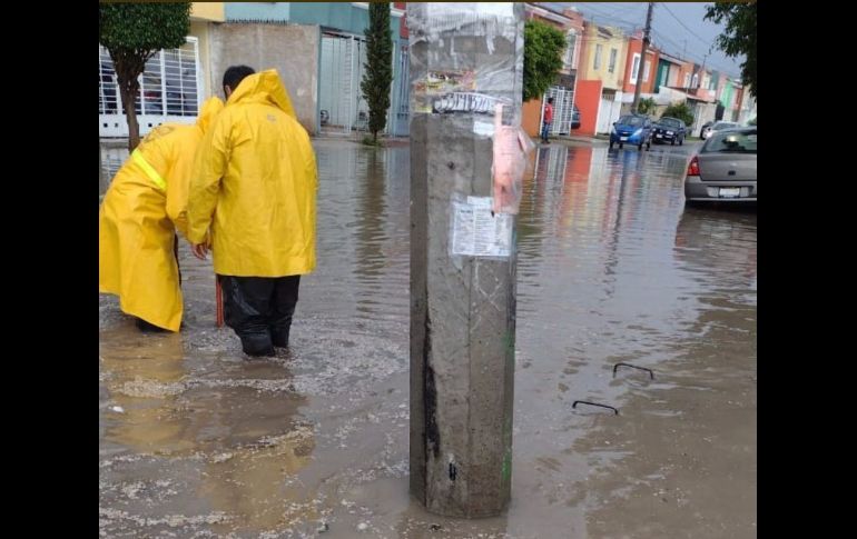 Diversas corporaciones de bomberos atendieron los reportes de este sábado. ESPECIAL
