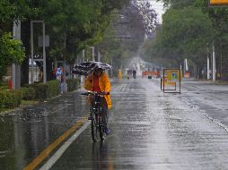 En la ZMG habrá cielo con nubes dispersas, mayormente nublado, con probabilidad de lluvia. EL INFORMADOR / ARCHIVO