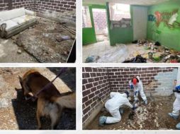 Con estas 13 bolsas halladas en el predio de Lomas del Sur suman ya 69 bolsas con, al parecer restos humanos, en solo una semana. ESPECIAL