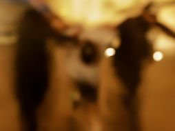 Jalisco, primero en víctimas de tortura en el país