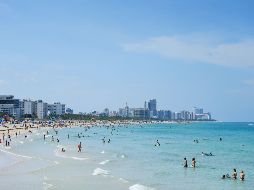 El republicano Ron DeSantis ha puesto a la venta una línea de camisetas y otros productos promocionales con su nombre y leyendas en contra del epidemiólogo Anthony Fauci y sus medidas contra la pandemia. AFP / ARCHIVO