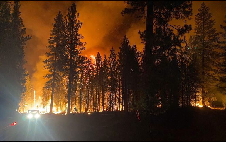 El contingente está formado por cinco brigadas, cinco jefes de brigada, 20 jefes de cuadrilla, dos representantes de la dependencia en campo, un coordinador COVID y el resto como personal combatiente de línea. AFP / ESPECIAL