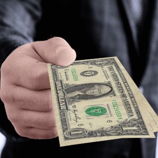 Los influencers que promocionaron al PVEM en veda electoral