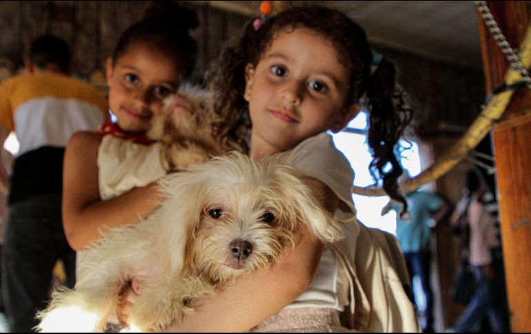 La cantidad promedio destinada por las personas en limpieza y manutención de una mascota es de 9 mil pesos anuales. XINHUA/R. Abdeljawad